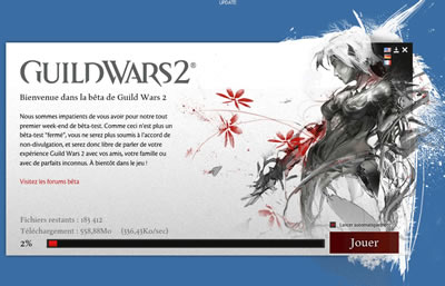 Guild Wars 2 Beta du weekend 27-29 avril